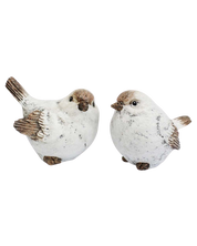 Autumn Birds Set of 2