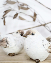 Autumn Birds Set of 2