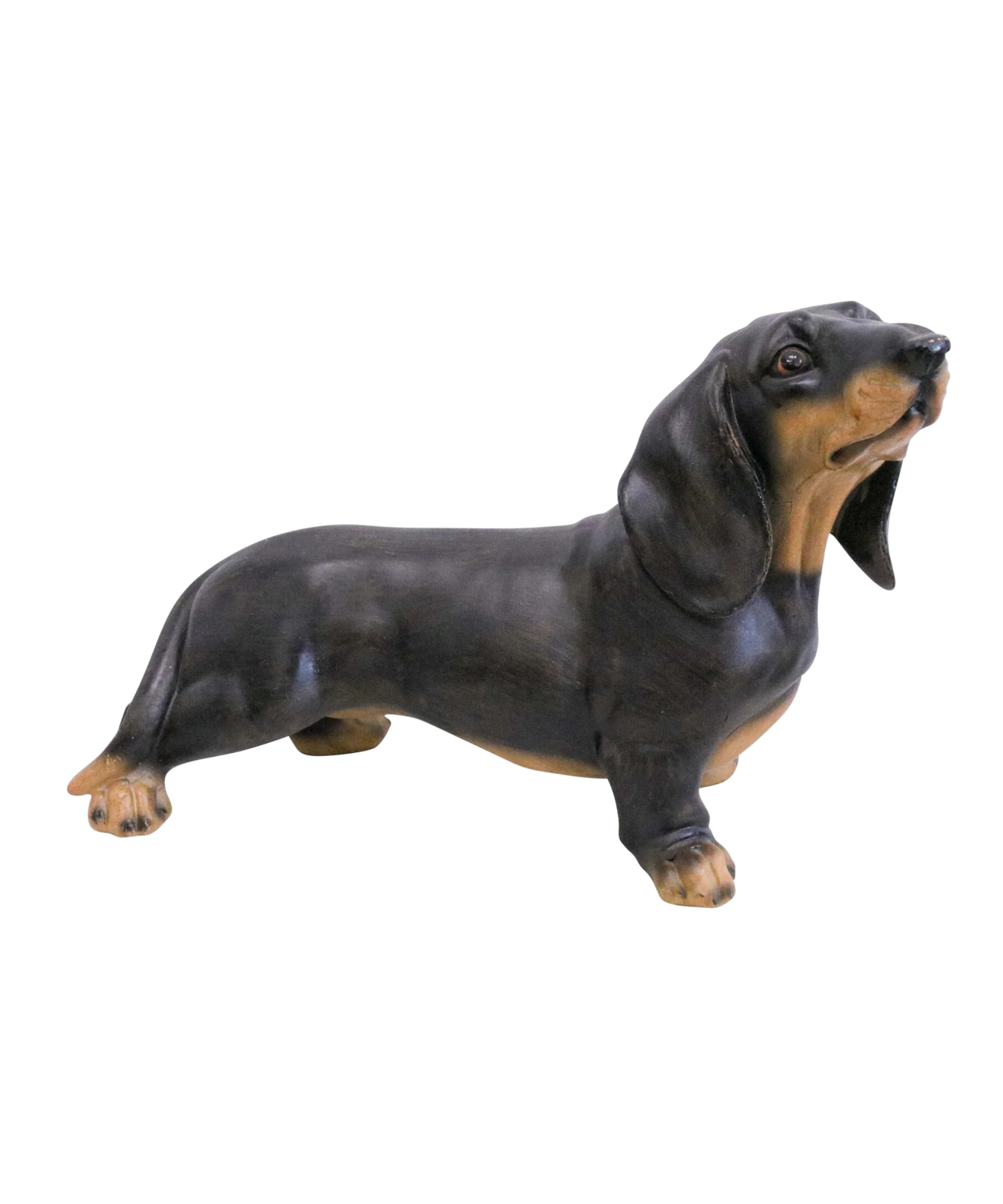 DachshundFigure_1_44c6449c-d345-4218-ab2d-53c53db861f7.png