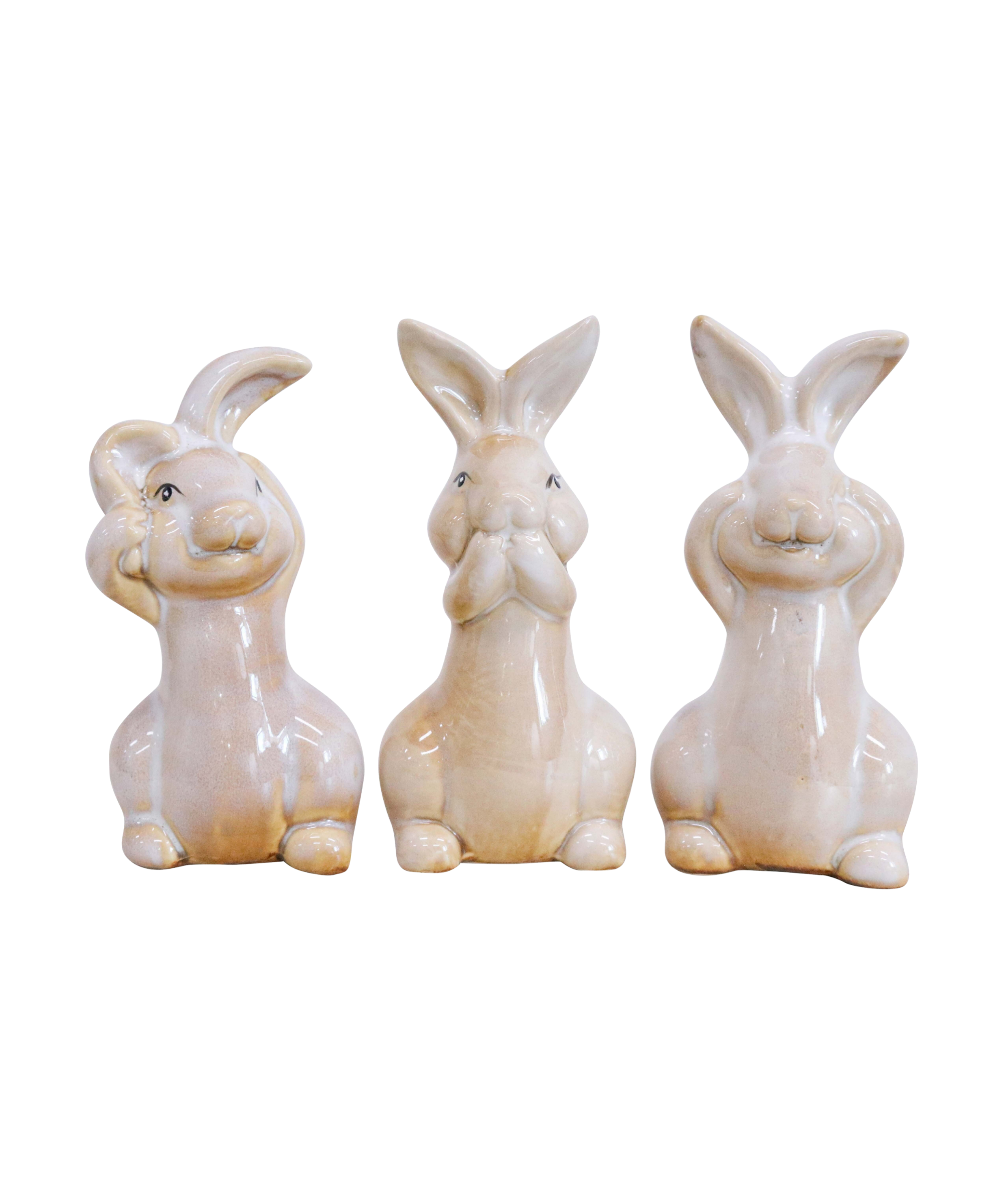 Rabbits_Set_of_3_See_Hear_Speak_2034db7a-7ddc-456b-8971-d9d9f86145dd.png