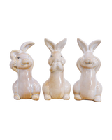 Rabbits Set of 3 See Hear Speak